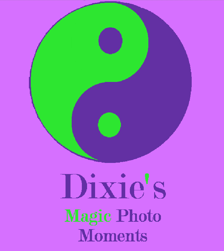 Dixies Magic photo moments